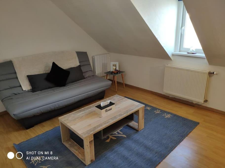 Joli Appartement Avec Place De Parking Prive Colmar Ngoại thất bức ảnh